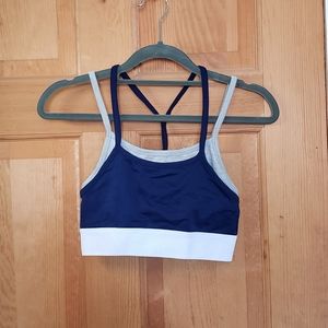 Fabletics blue and grey sports bra